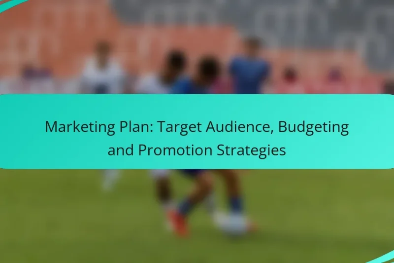 Marketing Plan: Target Audience, Budgeting and Promotion Strategies