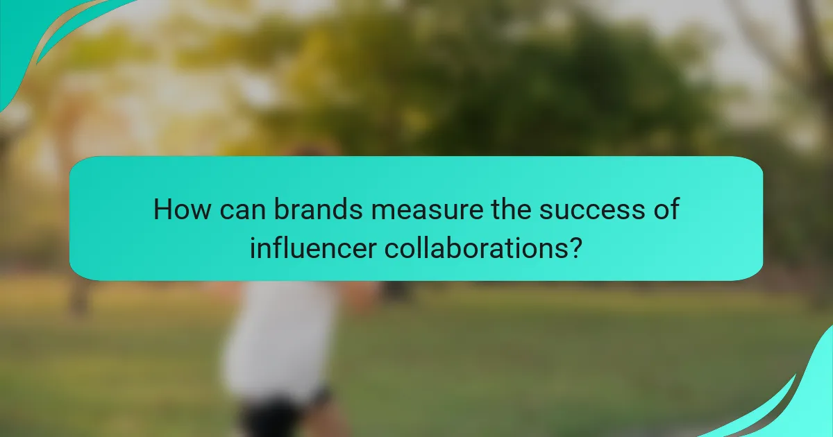 How can brands measure the success of influencer collaborations?