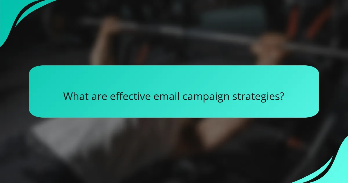 What are effective email campaign strategies?