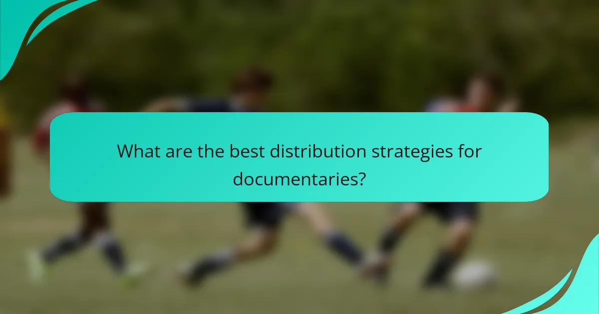 What are the best distribution strategies for documentaries?