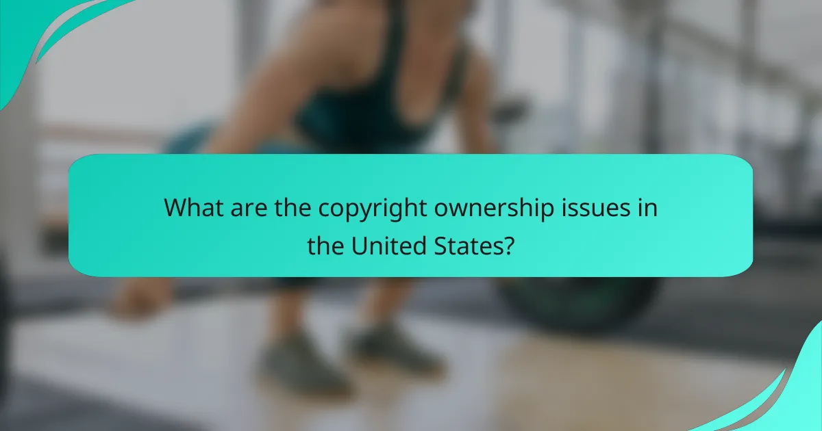 What are the copyright ownership issues in the United States?