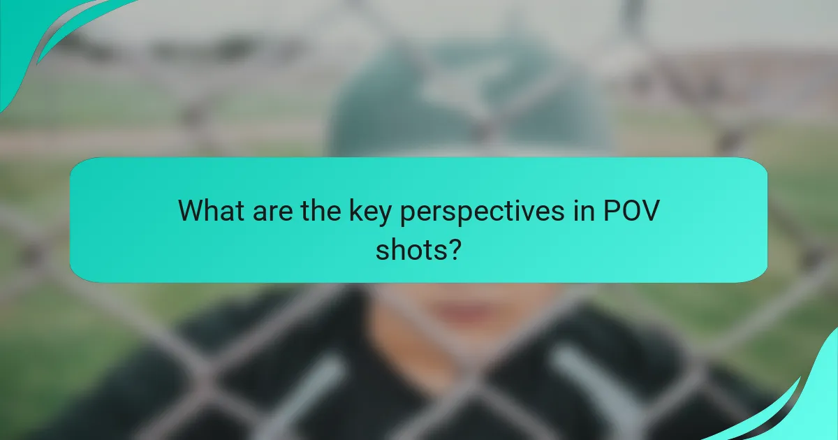 What are the key perspectives in POV shots?