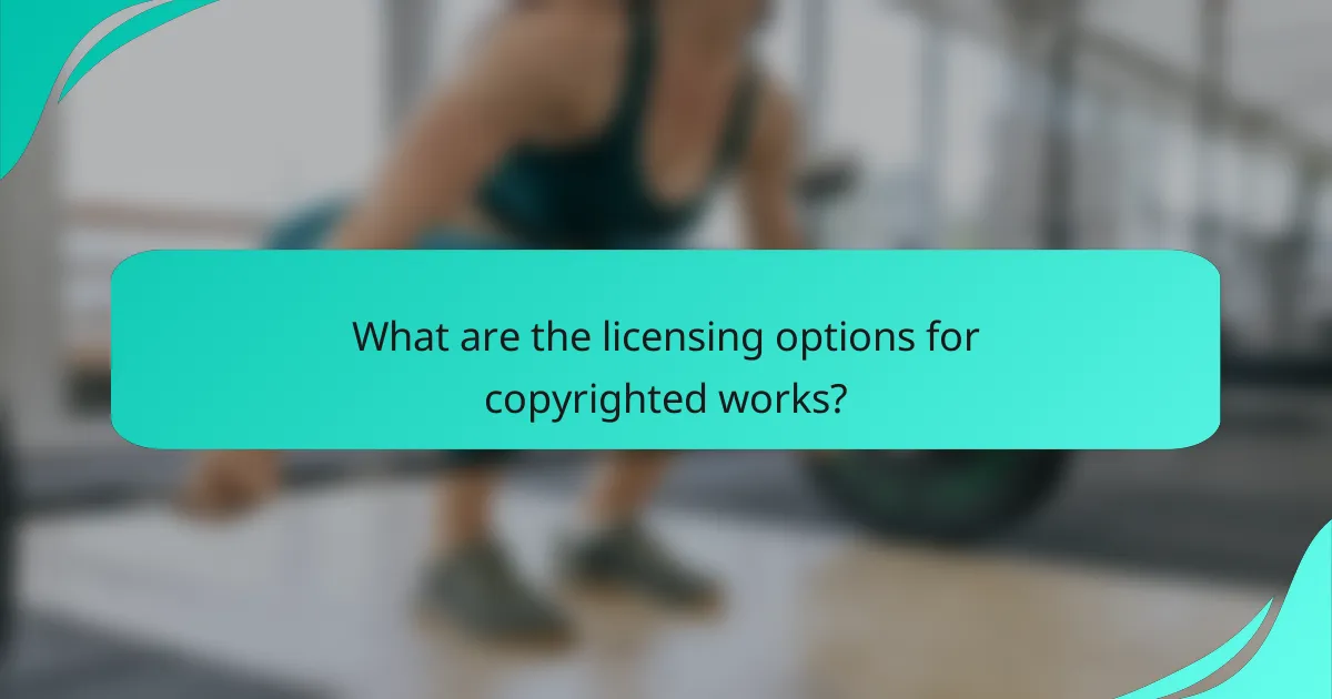 What are the licensing options for copyrighted works?
