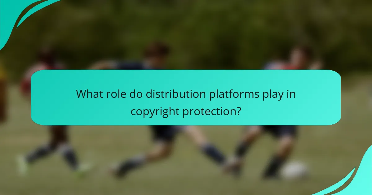 What role do distribution platforms play in copyright protection?